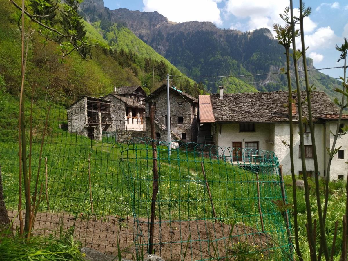Il Fiume Di Fianco. Appartamento Alta Valsesia Mollia エクステリア 写真